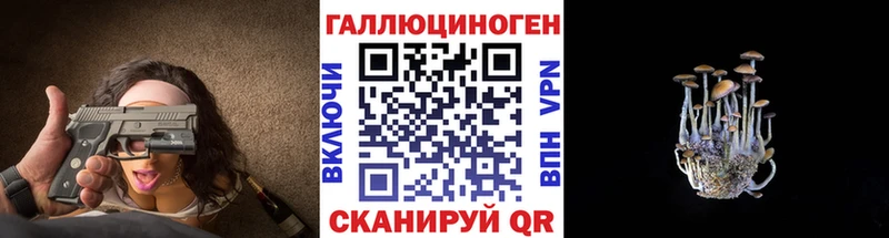 Купить где  Белоусово  Псилоцибиновые грибы Psilocybe 